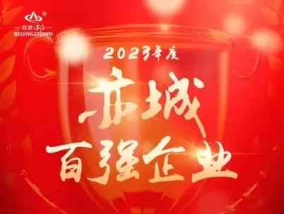 喜报！亦庄DG视讯集团旗下公司获北京经开区“亦城百强企业”声誉！